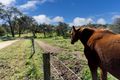 Property photo of 70 Jaldary Trail Bullsbrook WA 6084