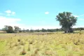 Property photo of 4693-4701 Olympic Highway Young NSW 2594