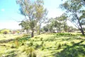 Property photo of 4693-4701 Olympic Highway Young NSW 2594