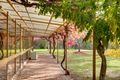 Property photo of 27 Constance Avenue Crafers SA 5152