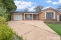 Property photo of 20 Borrowdale Close Narellan NSW 2567