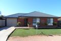 Property photo of 13 Belah Street Renmark SA 5341