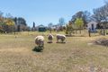 Property photo of 37 Glenmore Road Braidwood NSW 2622