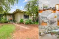 Property photo of 199 Pumps Road Red Cliffs VIC 3496