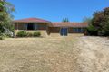 Property photo of 10 Robinson Street Canowindra NSW 2804
