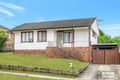 Property photo of 3 Wakelin Avenue Mount Pritchard NSW 2170