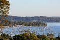 Property photo of 31 Grovelake Close Eleebana NSW 2282