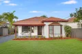 Property photo of 13 Arcadia Road Chester Hill NSW 2162