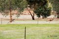 Property photo of 205 Patersonia Road Chittering WA 6084