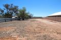 Property photo of 210 Ral Ral Avenue Renmark SA 5341
