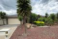 Property photo of 6 Tallgum Place Craigieburn VIC 3064