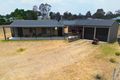 Property photo of 38 Forbes Street Deepwater NSW 2371