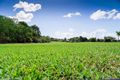 Property photo of 114 Bay Park Road Wondunna QLD 4655