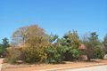 Property photo of 6 Kennedy Court Broome WA 6725