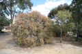 Property photo of 3 Alcatraz Street Aberfoyle Park SA 5159