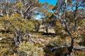Property photo of 49 Jones Road Miena TAS 7030