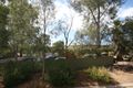 Property photo of 24 Maple Avenue Aberfoyle Park SA 5159