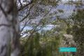 Property photo of 26 Northcove Road Long Beach NSW 2536