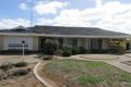 Property photo of 35 Second Street Orroroo SA 5431