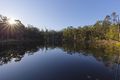 Property photo of 548 Gooreengi Road North Arm Cove NSW 2324