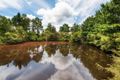 Property photo of 90 Lackersteens Road Somersby NSW 2250