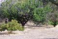 Property photo of 4834 Great Eastern Highway Bakers Hill WA 6562