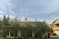 Property photo of 17/20 Continua Court Wattle Grove NSW 2173