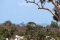 Property photo of 42 Shutehaven Circuit Bushland Beach QLD 4818
