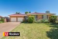 Property photo of 9 Narine Close Hillvue NSW 2340