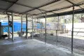 Property photo of 31 Willoughby Street Willows QLD 4702