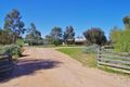 Property photo of 89 Chaffey Street Chaffey SA 5341