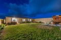 Property photo of 23 Rosegreen Avenue Butler WA 6036