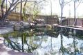 Property photo of 8 Darling Road Jensen QLD 4818