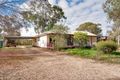 Property photo of 219 Dairtnunk Avenue Irymple VIC 3498