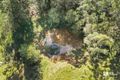 Property photo of 3537 Kyogle Road Mount Burrell NSW 2484