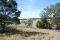 Property photo of 1637 Nethercote Road Greigs Flat NSW 2549