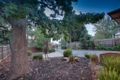 Property photo of 59A Underwood Road Boronia VIC 3155