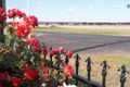 Property photo of 1/1 Belmore Street Gulgong NSW 2852