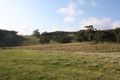 Property photo of 33 Knights Track Springfield VIC 3434