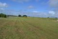 Property photo of 14 Tamarind Crescent Proserpine QLD 4800