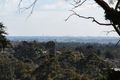 Property photo of 42 Ferndale Road Upper Ferntree Gully VIC 3156