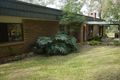 Property photo of 108 Williamson Road Tamborine QLD 4270