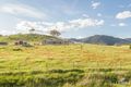 Property photo of 163 Macdiarmid Road Burra NSW 2620