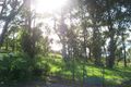 Property photo of 40 Karoo Crescent Malua Bay NSW 2536