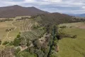 Property photo of 528 Redbank Mongans Road Mongans Bridge VIC 3691