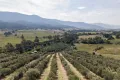 Property photo of 528 Redbank Mongans Road Mongans Bridge VIC 3691