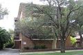 Property photo of 2/41 Albert Parade Ashfield NSW 2131