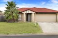 Property photo of 91 Storr Circuit Goodna QLD 4300
