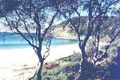 Property photo of 45 Newell Road Macmasters Beach NSW 2251