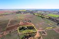 Property photo of 35 Lusty Lane Nyah West VIC 3595